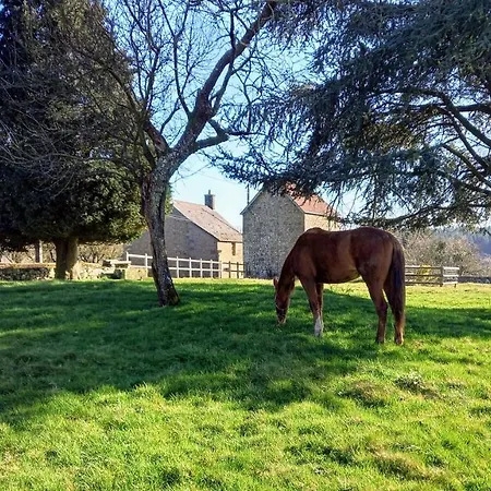 Hébergement de vacances Le Du Jardinier Saint-Martin-l'Aiguillon