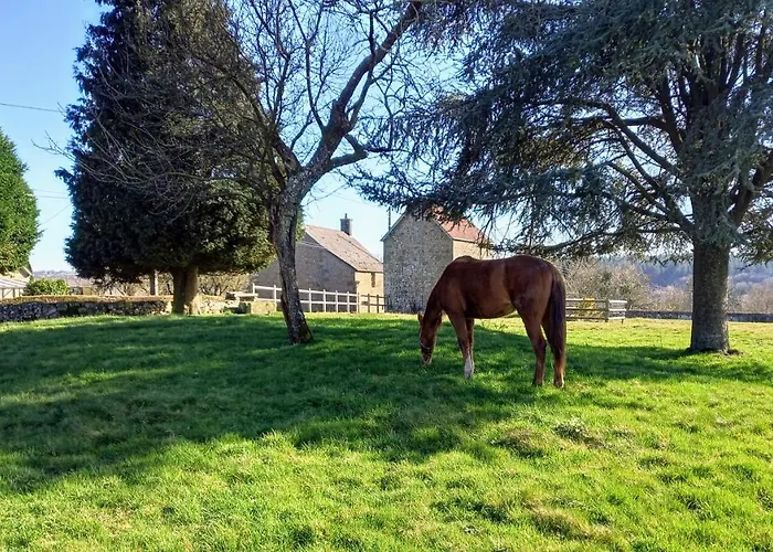 Casa de Férias Le Du Jardinier Saint-Martin-l'Aiguillon